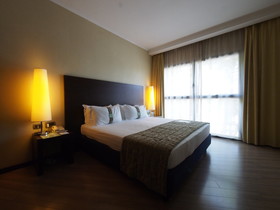 Holiday Inn Turin Corso Francia