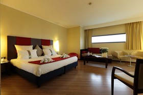 Holiday Inn Turin Corso Francia