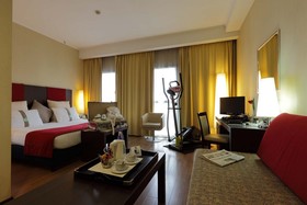 Holiday Inn Turin Corso Francia