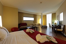 Holiday Inn Turin Corso Francia
