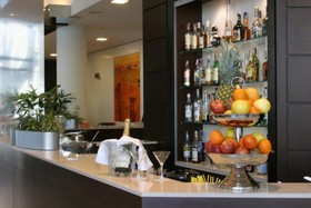Holiday Inn Turin Corso Francia