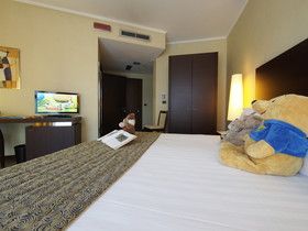 Holiday Inn Turin Corso Francia