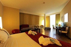 Holiday Inn Turin Corso Francia