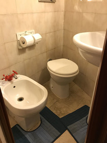 Hotel Rey