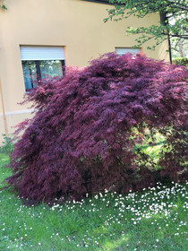 Parco Sassi