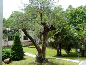 Parco Sassi