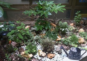 Statuto Eco Art Hotel