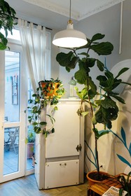 Tomato Urban Retreat