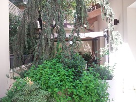 Villa Ardesia