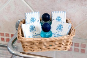 Blue Ribbon Hotel