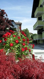 Albergo Residence Isotta