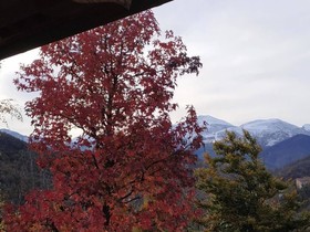Agriturismo Locanda Cà Del Pian