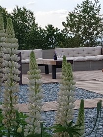 Agriturismo Locanda Cà Del Pian