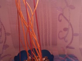 Bed&Bio