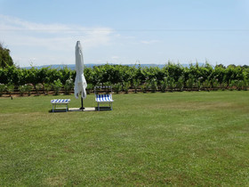 Il Pagio