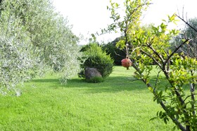 Sa Mola Villa Maria Francesca