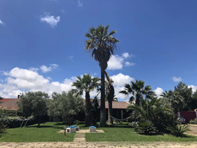 Sa Pintadera Residence