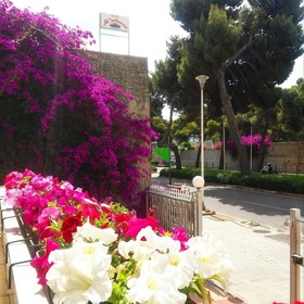 B&B Al Solemar