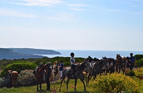 Poecylia Resort