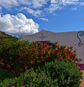 Poecylia Resort