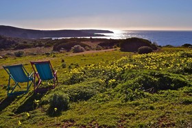 Poecylia Resort