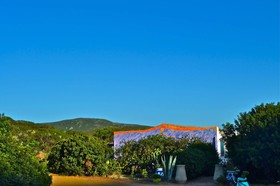 Poecylia Resort