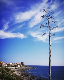 Concas Apartament