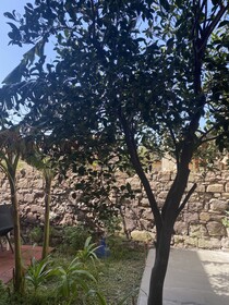 Concas Apartament