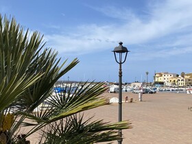 Concas Apartament