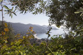 Villa Pina