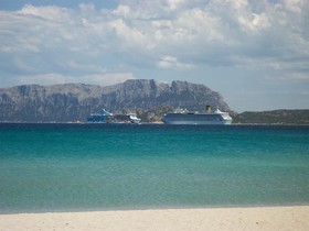 Terranova
