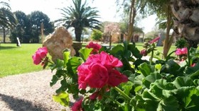 Agriturismo Borgo de I Vigneti