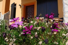 Agriturismo Borgo de I Vigneti
