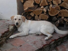 Locanda La Rosa