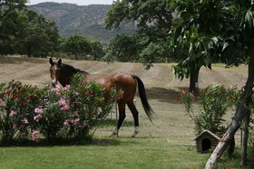 Borgo di Campagna