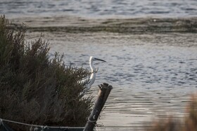 Villa Santadi Boutique Hotel