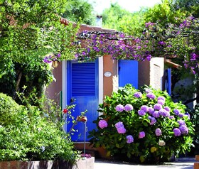 Bungalow Club Village