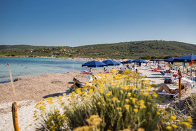 TH San Teodoro