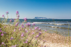 TH San Teodoro
