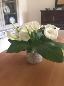 Calycanto Guest House