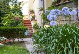 Calycanto Guest House