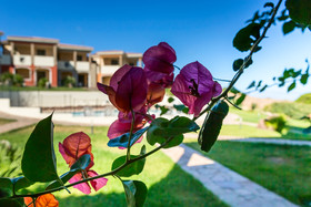 Residenza Le Farfalle