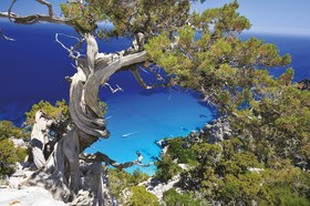 Villas Resort Tertenia