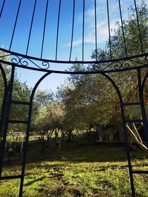 La Corte Degli Ulivi