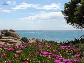 Fiore di Maggio