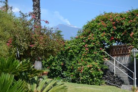 B&B La Casa del Ficus