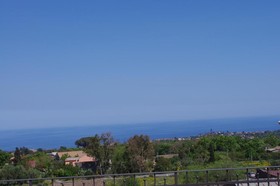 Gli Ulivi Dell'etna