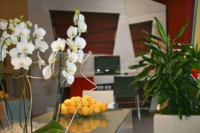 ibis Styles Catania Acireale