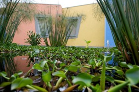ibis Styles Catania Acireale