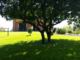 Villa Feluchia